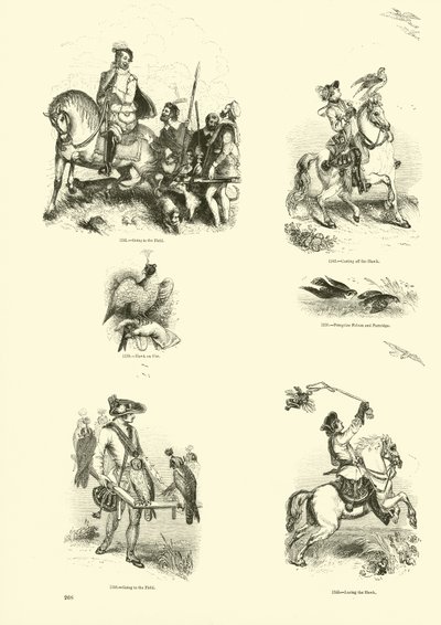 Page from The Pictorial Museum of Animated Nature by English School