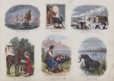 Page from the Attractive Picture Book by English School