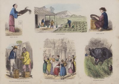 Page from the Attractive Picture Book by English School
