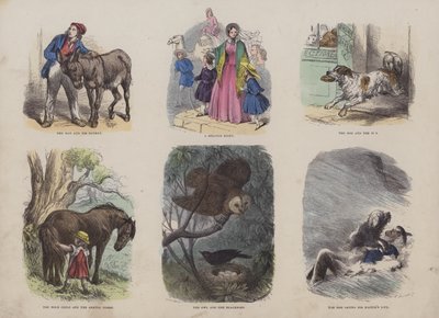 Page from the Attractive Picture Book by English School