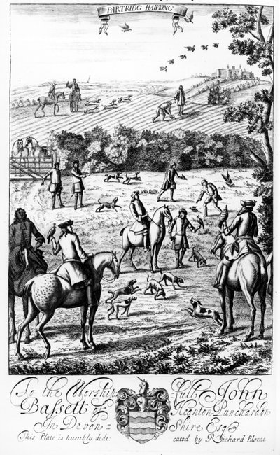 Partridge Hawking, from 