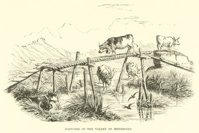 Pastures of the Valley of Meyringen by English School