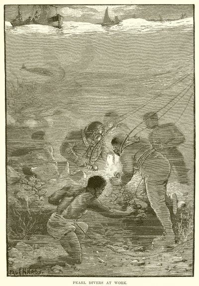 Pearl Divers at Work by English School