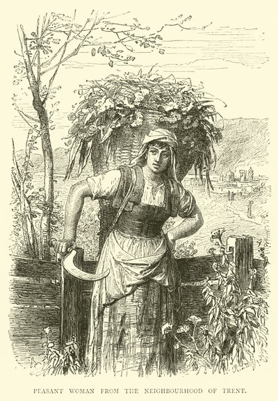 Peasant woman from the neighbourhood of Trent by English School