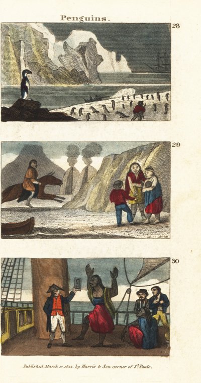 Penguins in South America, Patagonian Giants in Animal Skins, and Patagonians Delighted by the Sight of a Mirror on Captain Samuel Wallis’ Ship by English School
