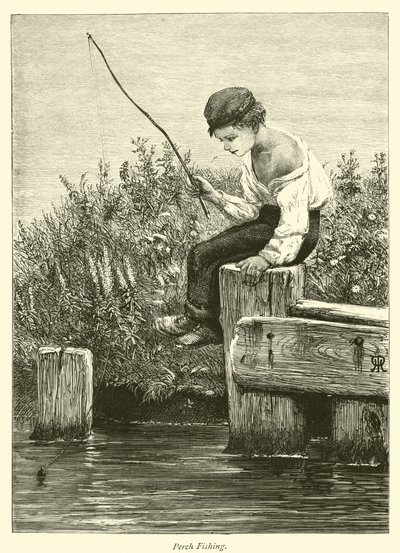 Perch Fishing by English School