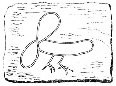 Phallus with the legs of a fowl, carving from the entrance to the guard-house at Housesteads Fort on Hadrian