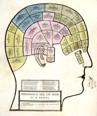 Phrenological Head and Chart, pub. 1857 by English School