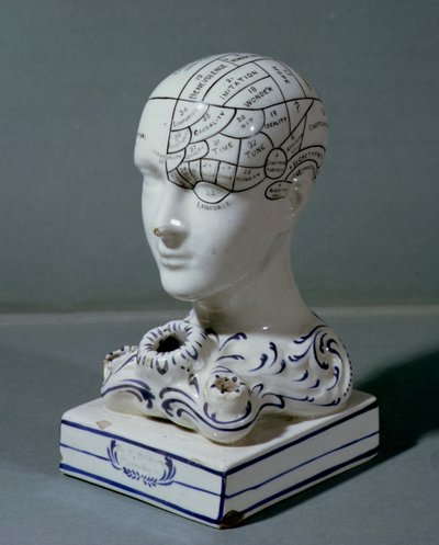 Phrenological Head by Dr. Frederick Bridges by English School
