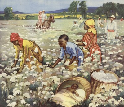 Picking Cotton on an American Plantation by English School