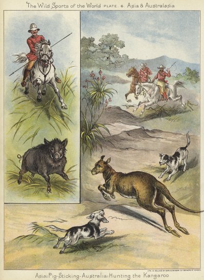 Pig Sticking and Hunting the Kangaroo by English School