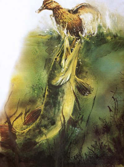 Pike Grabbing Duck by English School