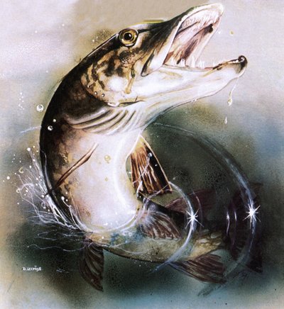 Pike leaping by English School
