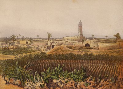 Places Mentioned in the Bible: Gaza, The Old Town by English School