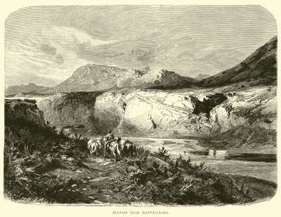Platani Near Montallegro by English School