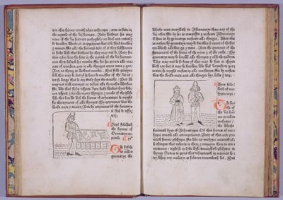 Plate C5v-C6r, from 