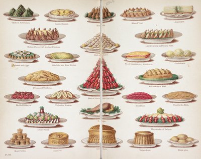 Plate III from 