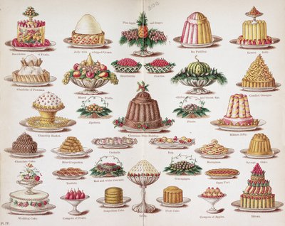 Plate IV from 