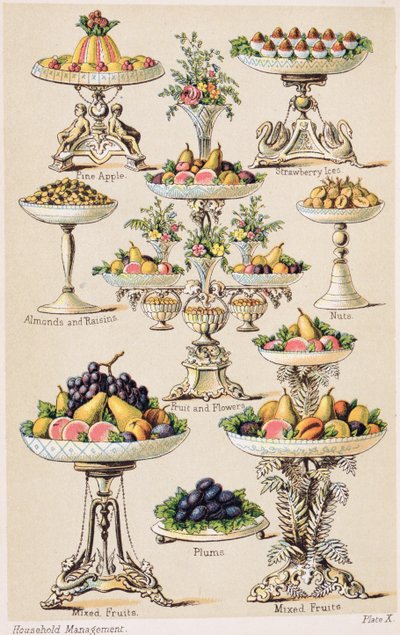 Plate X from 