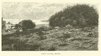 Point Koura, Malta by English School