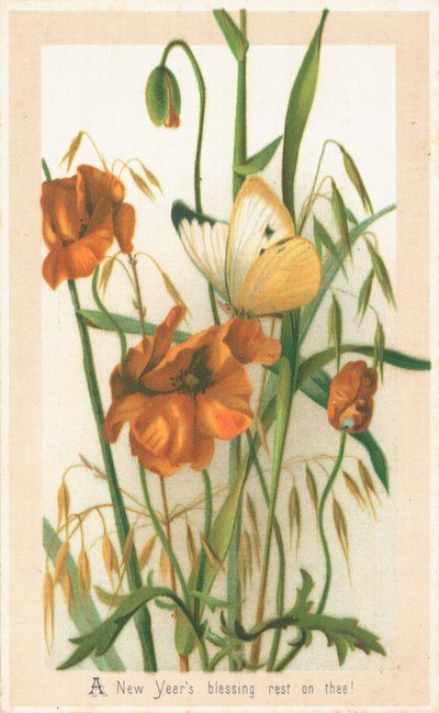 Poppies and Butterfly by English School