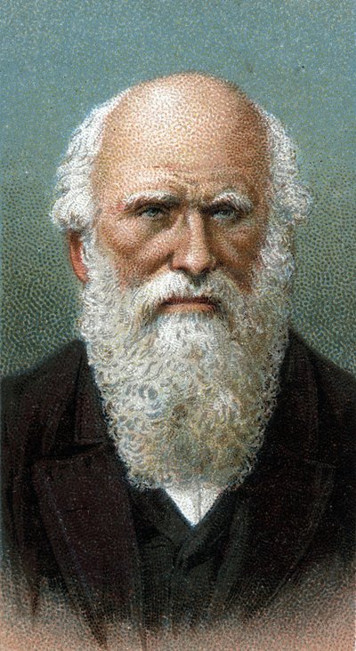 Portrait of Charles Robert Darwin (1809-1882) (from series 