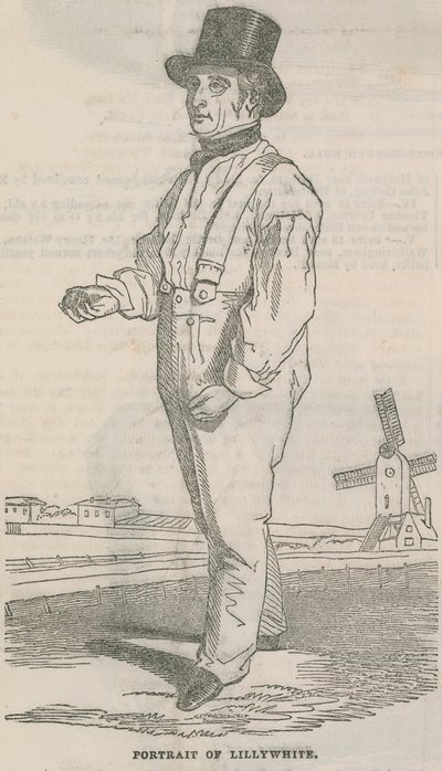 Portrait of Lillywhite by English School