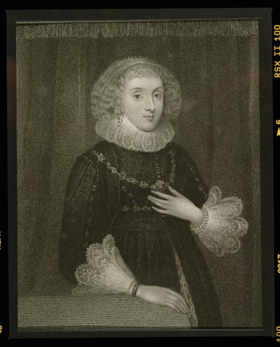 Portrait of Mary Herbert, Countess of Pembroke by English School