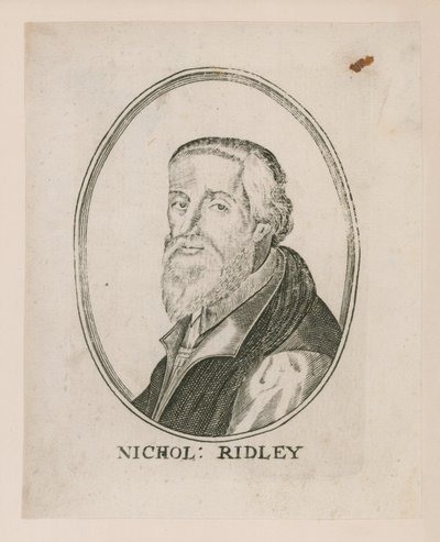 Portrait of Nicholas Ridley by English School