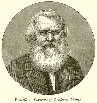 Portrait of Professor Morse by English School