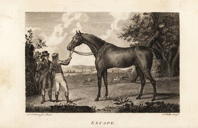 Portrait of the celebrated thoroughbred racer Escape with jockey and trainer by English School