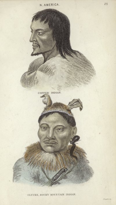 Portraits of a Copper Indian and a Rocky Mountain Indian by English School