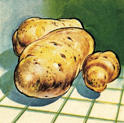 Potatoes by English School