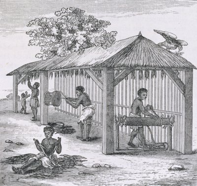 Preparing Tobacco, from 