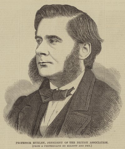 Professor Huxley, President of the British Association by English School