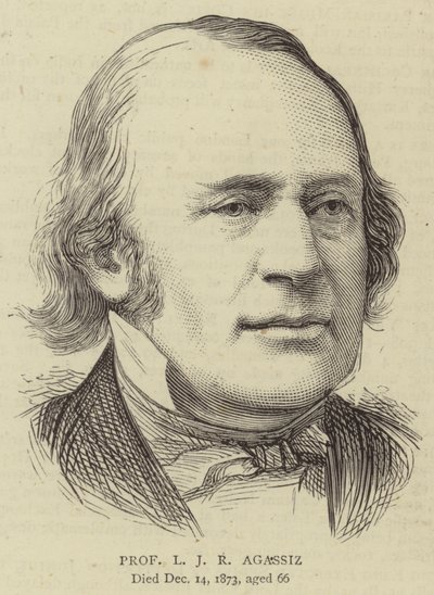Professor L J R Agassiz by English School