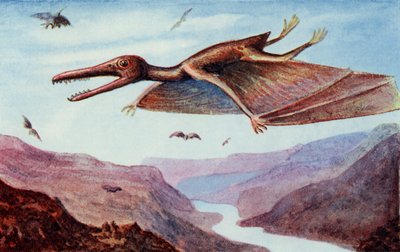 Pterodactyl, from 
