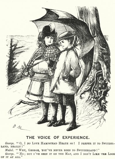 Punch cartoon: The Voice of Experience by English School