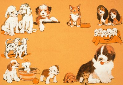 Puppy Dogs by English School