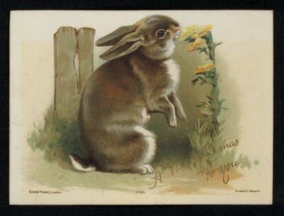 Rabbit Eating Yellow Flowers, Christmas Greetings Card by English School
