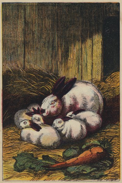 Rabbits by English School