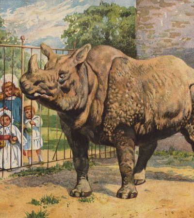 Rhinoceros by English School
