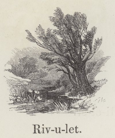Rivulet by English School