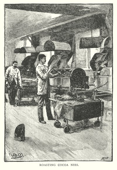 Roasting Cocoa Nibs by English School