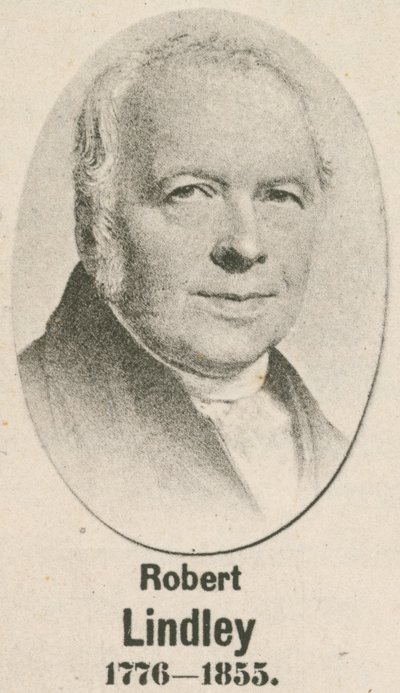 Robert Lindley by English School