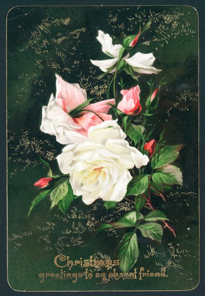 Roses by English School
