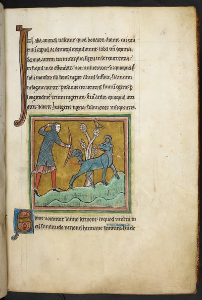 A hunter shooting an arrow at an animal, from Bestiary, Lapidary by English School