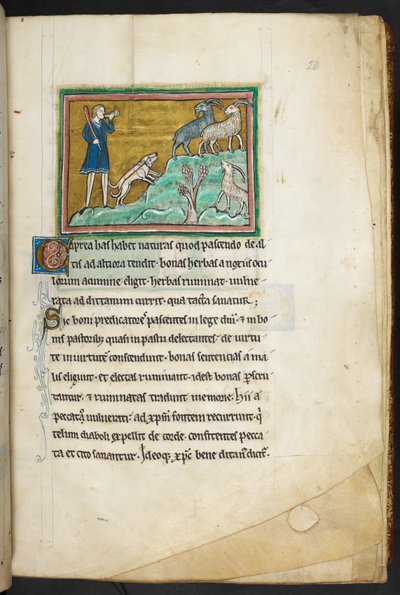 A hunter or farmer with dogs, pursuing goats, from Bestiary, Lapidary by English School