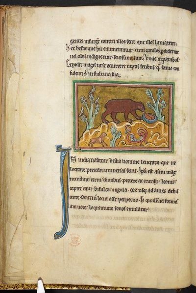 A bear looking at cubs, from Bestiary, Lapidary by English School