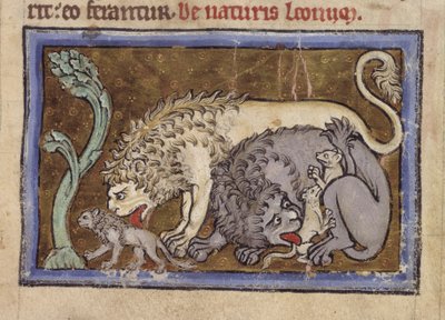 Lions, from 